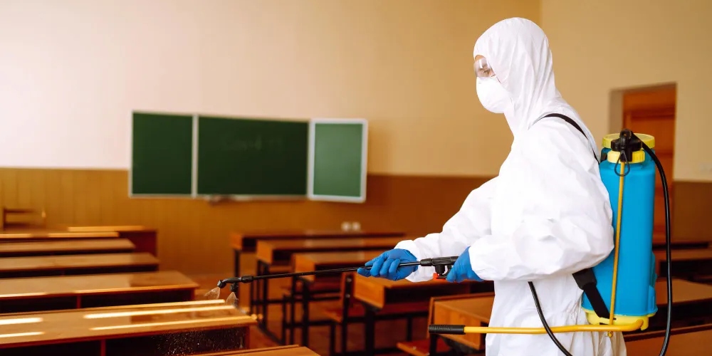 Dedetização em Escolas